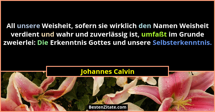 All unsere Weisheit, sofern sie wirklich den Namen Weisheit verdient und wahr und zuverlässig ist, umfaßt im Grunde zweierlei: Die E... - Johannes Calvin
