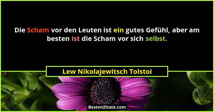 Die Scham vor den Leuten ist ein gutes Gefühl, aber am besten ist die Scham vor sich selbst.... - Lew Nikolajewitsch Tolstoi