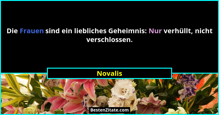 Die Frauen sind ein liebliches Geheimnis: Nur verhüllt, nicht verschlossen.... - Novalis