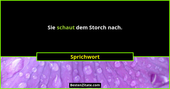 Sie schaut dem Storch nach.... - Sprichwort