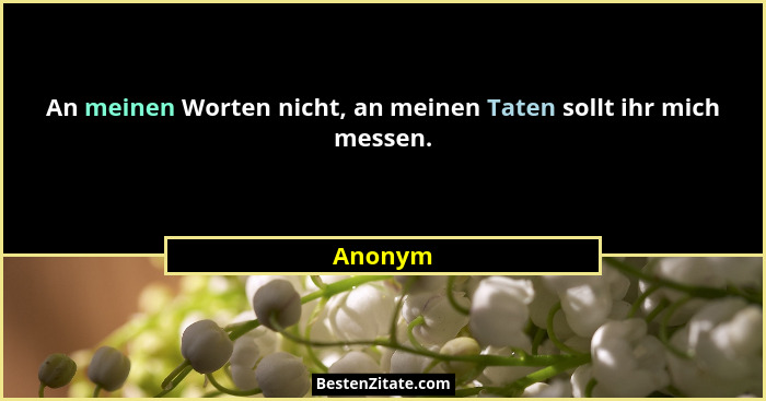 An meinen Worten nicht, an meinen Taten sollt ihr mich messen.... - Anonym