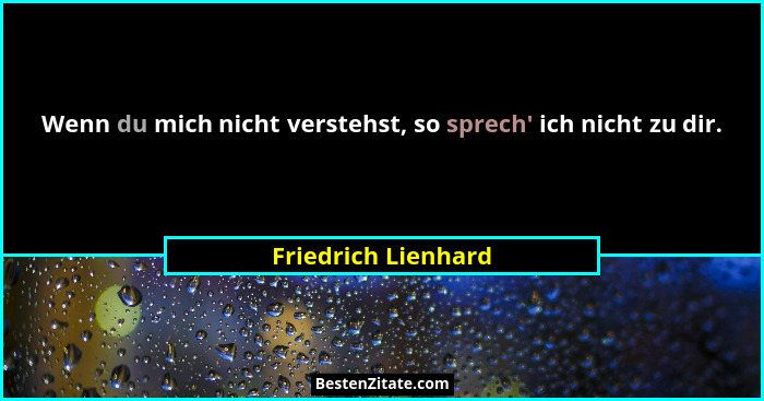 Wenn du mich nicht verstehst, so sprech' ich nicht zu dir.... - Friedrich Lienhard