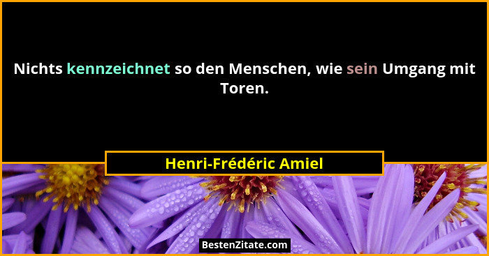 Nichts kennzeichnet so den Menschen, wie sein Umgang mit Toren.... - Henri-Frédéric Amiel