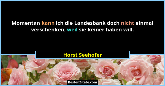 Momentan kann ich die Landesbank doch nicht einmal verschenken, weil sie keiner haben will.... - Horst Seehofer