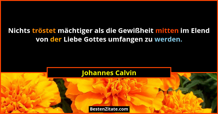 Nichts tröstet mächtiger als die Gewißheit mitten im Elend von der Liebe Gottes umfangen zu werden.... - Johannes Calvin