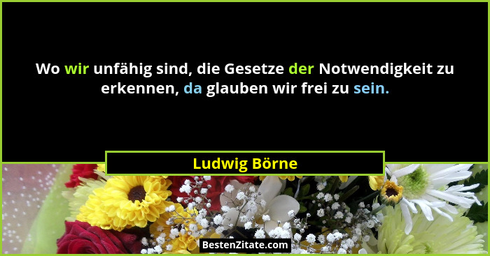 Wo wir unfähig sind, die Gesetze der Notwendigkeit zu erkennen, da glauben wir frei zu sein.... - Ludwig Börne