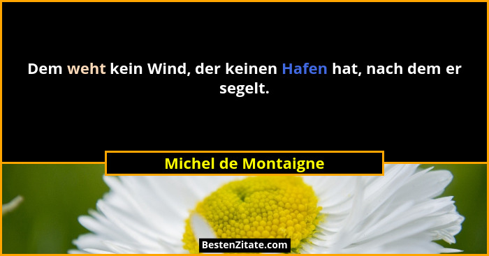 Dem weht kein Wind, der keinen Hafen hat, nach dem er segelt.... - Michel de Montaigne