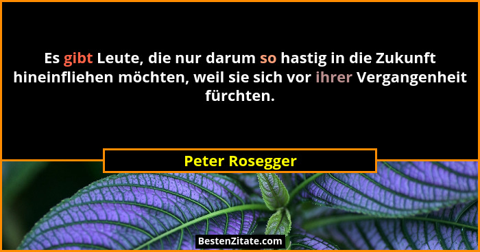 Es gibt Leute, die nur darum so hastig in die Zukunft hineinfliehen möchten, weil sie sich vor ihrer Vergangenheit fürchten.... - Peter Rosegger