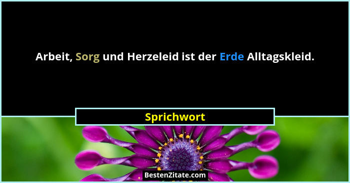 Arbeit, Sorg und Herzeleid ist der Erde Alltagskleid.... - Sprichwort