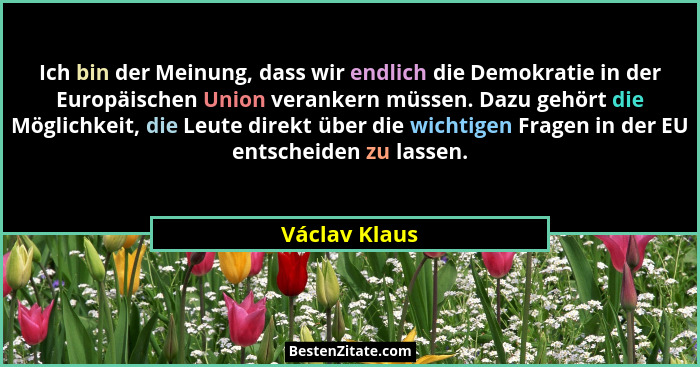 Ich bin der Meinung, dass wir endlich die Demokratie in der Europäischen Union verankern müssen. Dazu gehört die Möglichkeit, die Leute... - Václav Klaus