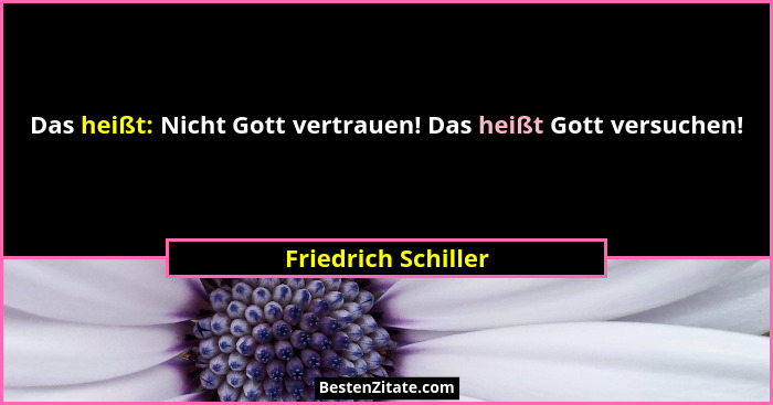 Das heißt: Nicht Gott vertrauen! Das heißt Gott versuchen!... - Friedrich Schiller