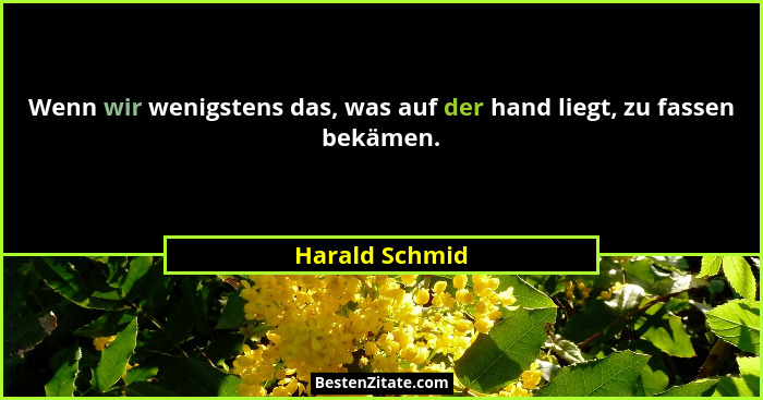 Wenn wir wenigstens das, was auf der hand liegt, zu fassen bekämen.... - Harald Schmid