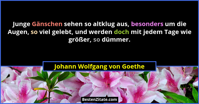 Junge Gänschen sehen so altklug aus, besonders um die Augen, so viel gelebt, und werden doch mit jedem Tage wie größer, s... - Johann Wolfgang von Goethe