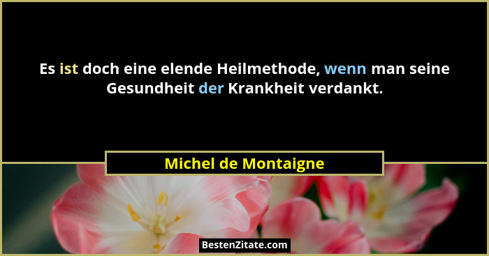 Es ist doch eine elende Heilmethode, wenn man seine Gesundheit der Krankheit verdankt.... - Michel de Montaigne
