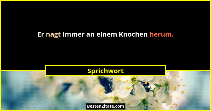 Er nagt immer an einem Knochen herum.... - Sprichwort
