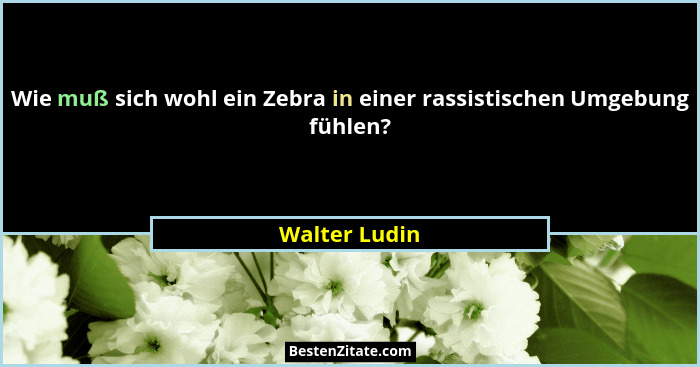 Wie muß sich wohl ein Zebra in einer rassistischen Umgebung fühlen?... - Walter Ludin