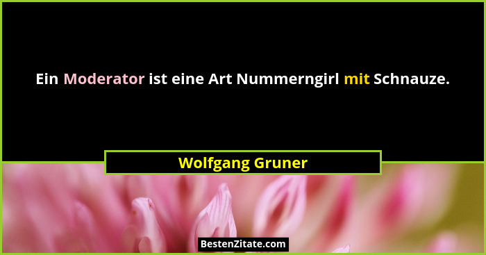 Ein Moderator ist eine Art Nummerngirl mit Schnauze.... - Wolfgang Gruner