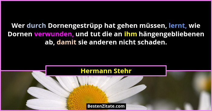 Wer durch Dornengestrüpp hat gehen müssen, lernt, wie Dornen verwunden, und tut die an ihm hängengebliebenen ab, damit sie anderen nic... - Hermann Stehr