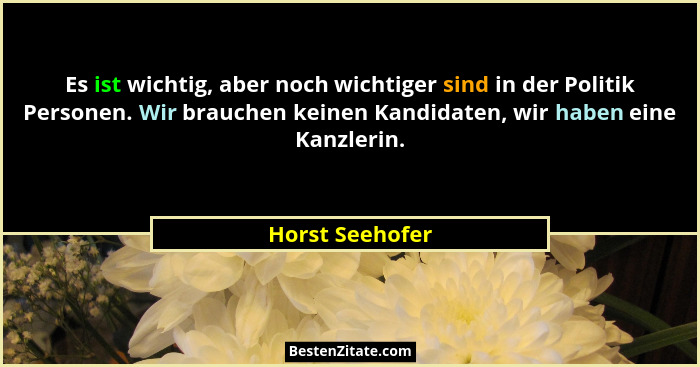 Es ist wichtig, aber noch wichtiger sind in der Politik Personen. Wir brauchen keinen Kandidaten, wir haben eine Kanzlerin.... - Horst Seehofer