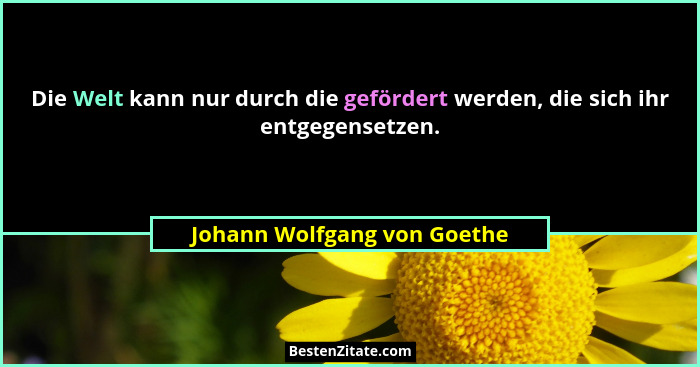 Die Welt kann nur durch die gefördert werden, die sich ihr entgegensetzen.... - Johann Wolfgang von Goethe