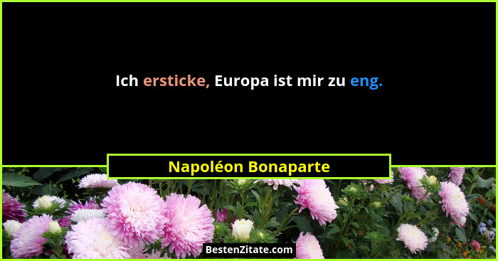 Ich ersticke, Europa ist mir zu eng.... - Napoléon Bonaparte