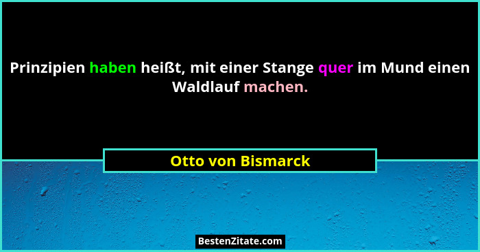 Prinzipien haben heißt, mit einer Stange quer im Mund einen Waldlauf machen.... - Otto von Bismarck