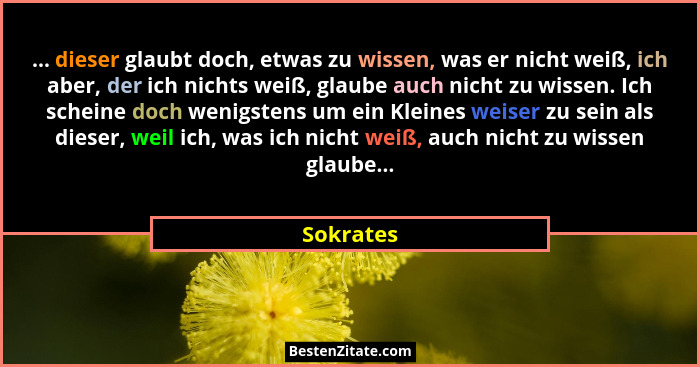 ... dieser glaubt doch, etwas zu wissen, was er nicht weiß, ich aber, der ich nichts weiß, glaube auch nicht zu wissen. Ich scheine doch we... - Sokrates