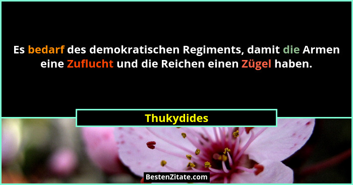 Es bedarf des demokratischen Regiments, damit die Armen eine Zuflucht und die Reichen einen Zügel haben.... - Thukydides