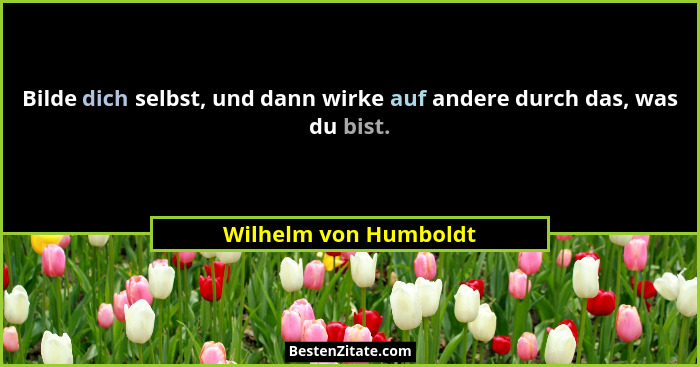 Bilde dich selbst, und dann wirke auf andere durch das, was du bist.... - Wilhelm von Humboldt