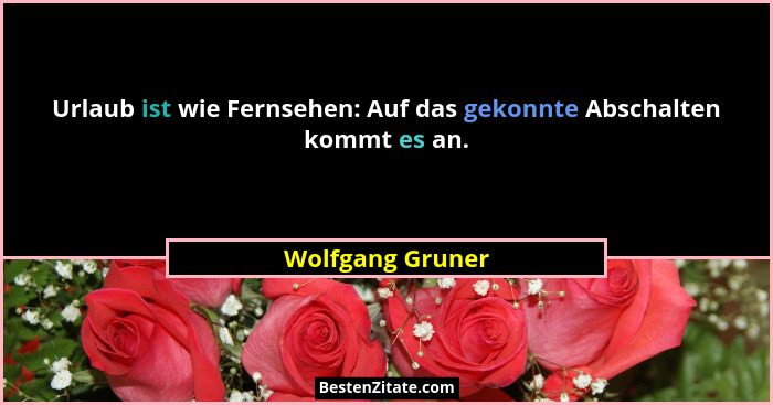 Urlaub ist wie Fernsehen: Auf das gekonnte Abschalten kommt es an.... - Wolfgang Gruner