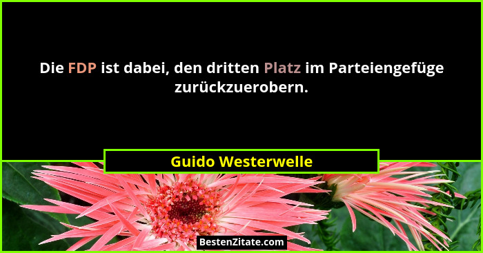 Die FDP ist dabei, den dritten Platz im Parteiengefüge zurückzuerobern.... - Guido Westerwelle