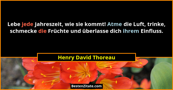 Lebe jede Jahreszeit, wie sie kommt! Atme die Luft, trinke, schmecke die Früchte und überlasse dich ihrem Einfluss.... - Henry David Thoreau
