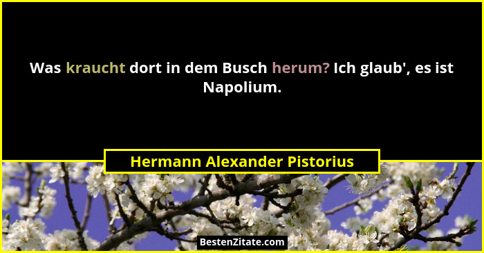 Was kraucht dort in dem Busch herum? Ich glaub', es ist Napolium.... - Hermann Alexander Pistorius