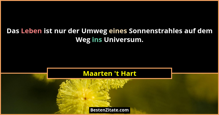 Das Leben ist nur der Umweg eines Sonnenstrahles auf dem Weg ins Universum.... - Maarten 't Hart