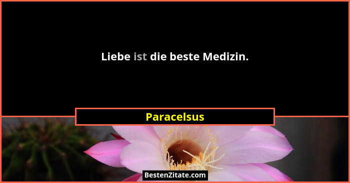 Liebe ist die beste Medizin.... - Paracelsus