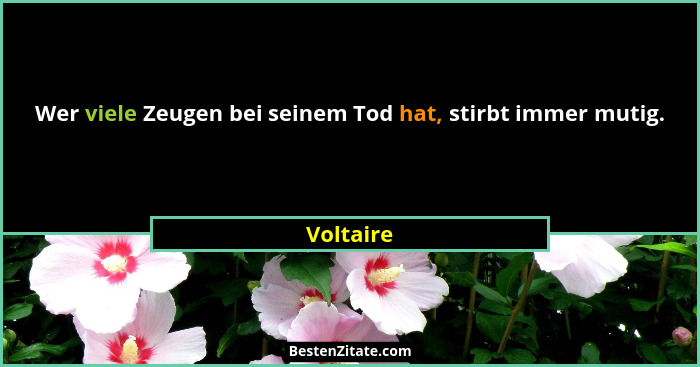 Wer viele Zeugen bei seinem Tod hat, stirbt immer mutig.... - Voltaire