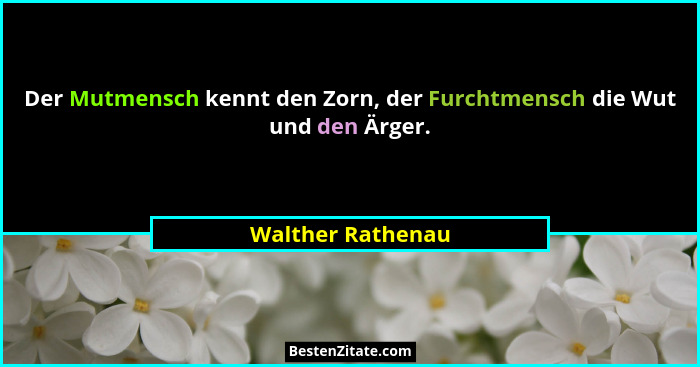 Der Mutmensch kennt den Zorn, der Furchtmensch die Wut und den Ärger.... - Walther Rathenau