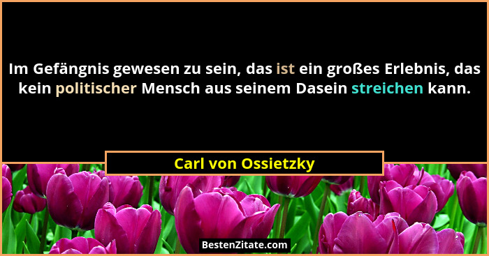 Im Gefängnis gewesen zu sein, das ist ein großes Erlebnis, das kein politischer Mensch aus seinem Dasein streichen kann.... - Carl von Ossietzky