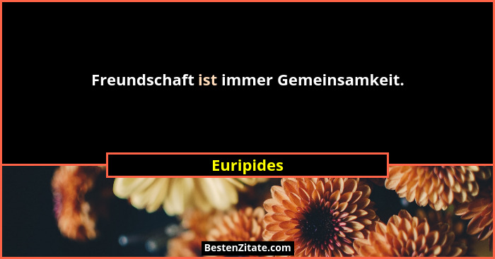 Freundschaft ist immer Gemeinsamkeit.... - Euripides