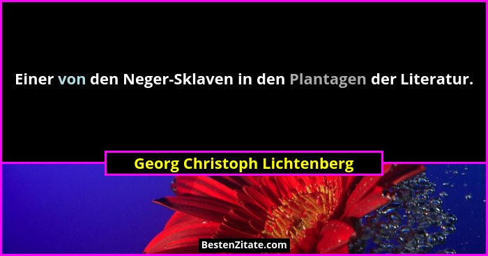 Einer von den Neger-Sklaven in den Plantagen der Literatur.... - Georg Christoph Lichtenberg