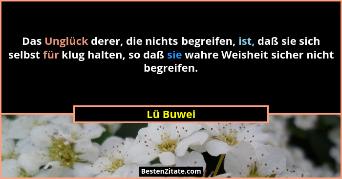 Das Unglück derer, die nichts begreifen, ist, daß sie sich selbst für klug halten, so daß sie wahre Weisheit sicher nicht begreifen.... - Lü Buwei