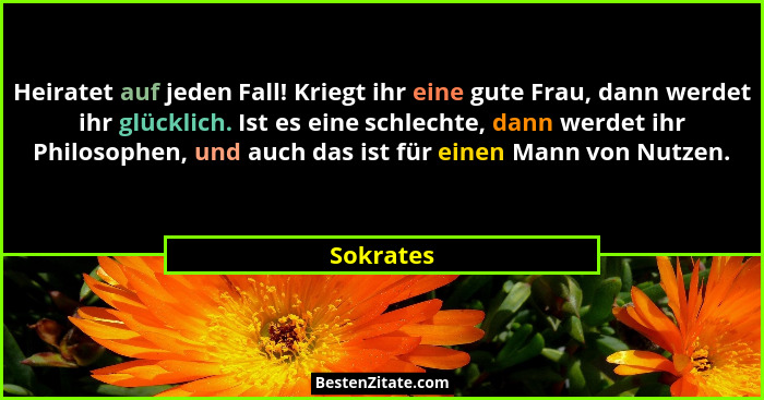 Heiratet auf jeden Fall! Kriegt ihr eine gute Frau, dann werdet ihr glücklich. Ist es eine schlechte, dann werdet ihr Philosophen, und auch... - Sokrates