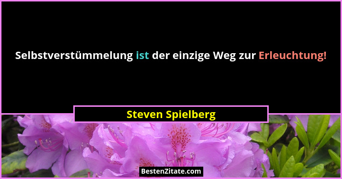 Selbstverstümmelung ist der einzige Weg zur Erleuchtung!... - Steven Spielberg