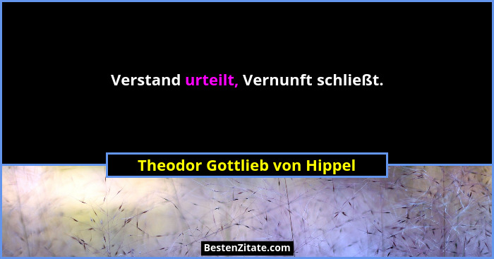 Verstand urteilt, Vernunft schließt.... - Theodor Gottlieb von Hippel