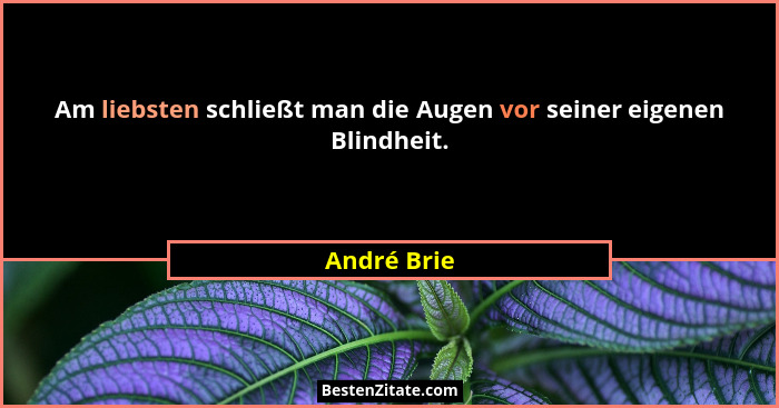 Am liebsten schließt man die Augen vor seiner eigenen Blindheit.... - André Brie