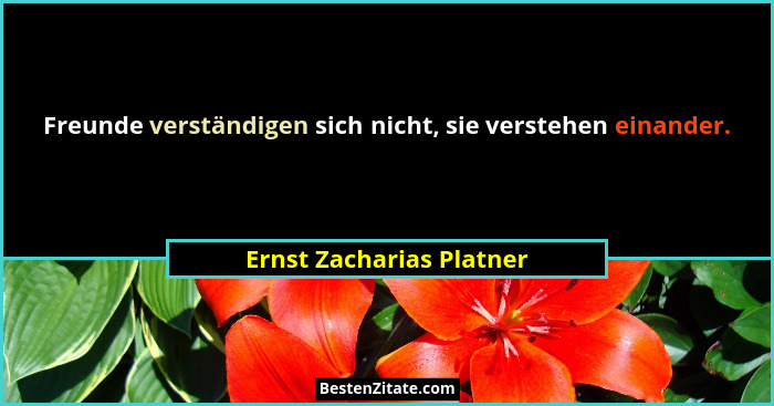 Freunde verständigen sich nicht, sie verstehen einander.... - Ernst Zacharias Platner