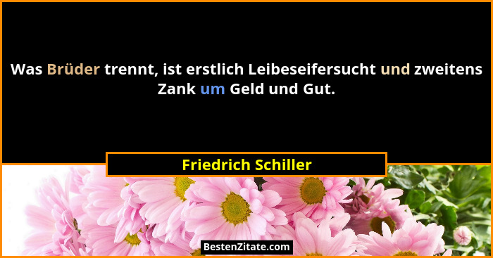 Was Brüder trennt, ist erstlich Leibeseifersucht und zweitens Zank um Geld und Gut.... - Friedrich Schiller