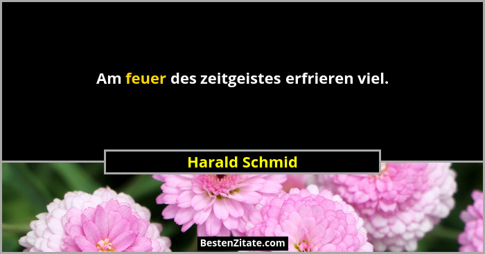 Am feuer des zeitgeistes erfrieren viel.... - Harald Schmid