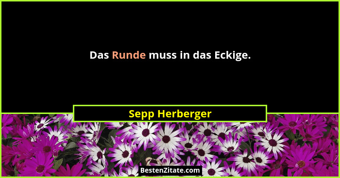 Das Runde muss in das Eckige.... - Sepp Herberger
