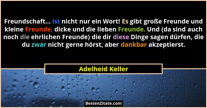 Freundschaft... ist nicht nur ein Wort! Es gibt große Freunde und kleine Freunde, dicke und die lieben Freunde. Und (da sind auch no... - Adelheid Keller